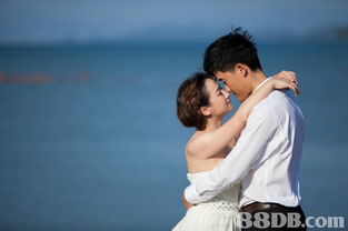 婚紗攝影全攻略 從婚前照片到婚禮紀(jì)實